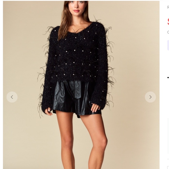 Rareraw “ Katrina “ Rareraw Knit Sweater with Feather and Rhinestone Accents 77 - Picture 9 of 10